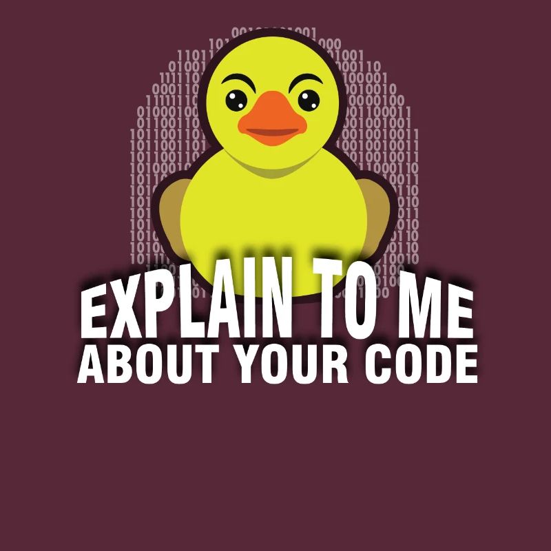 Rubber Duck Debug. Explain To Me