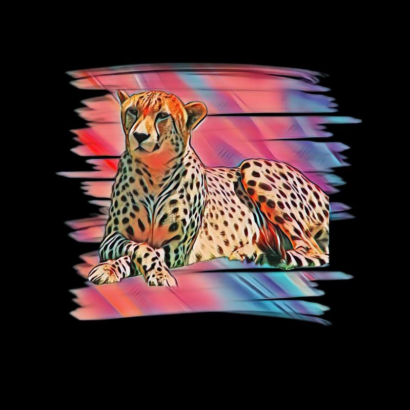 guépard