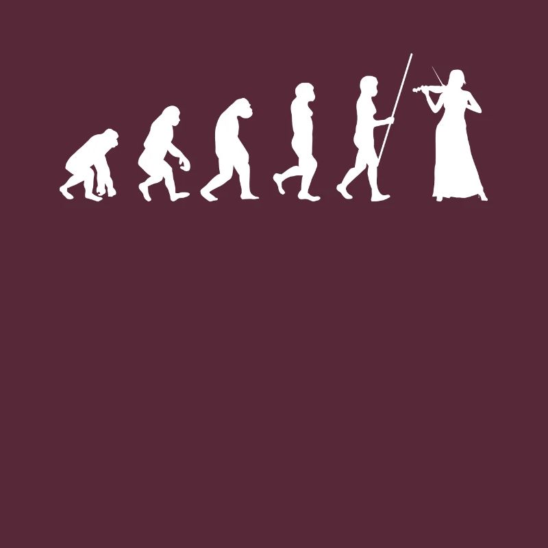 Evolution violin violin violinist violinist violin pi