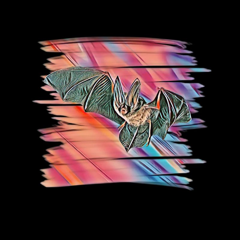 bat