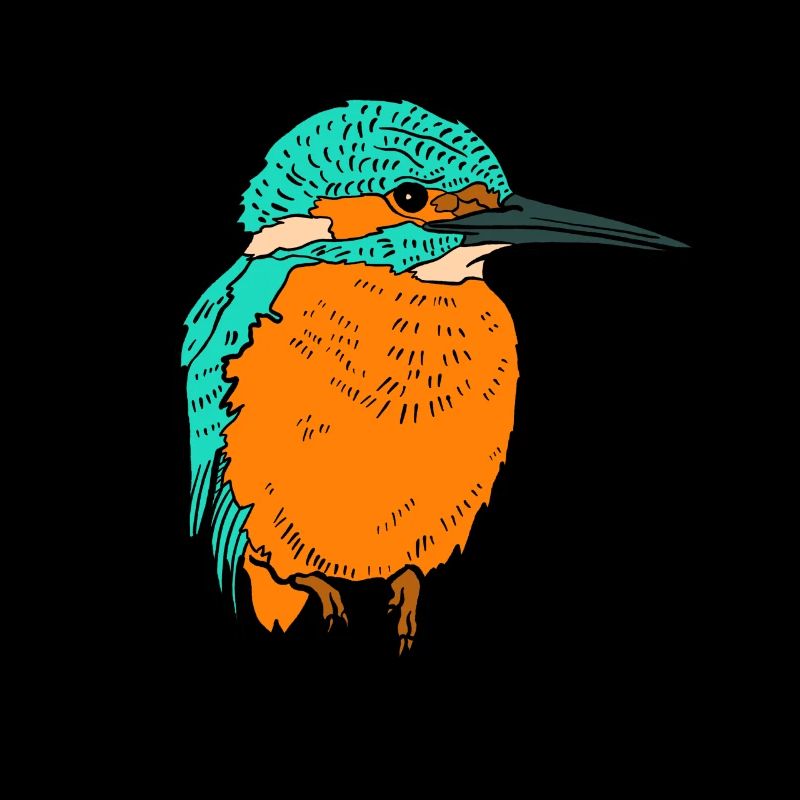 Eisvogel
