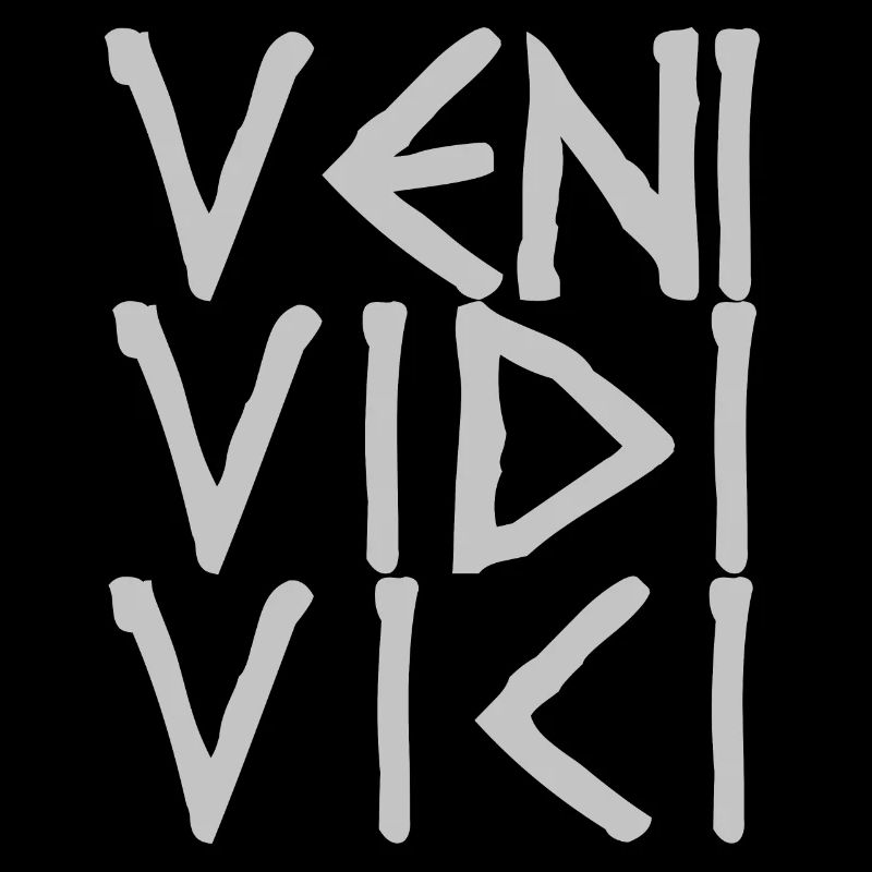 VENI VIDI VICI