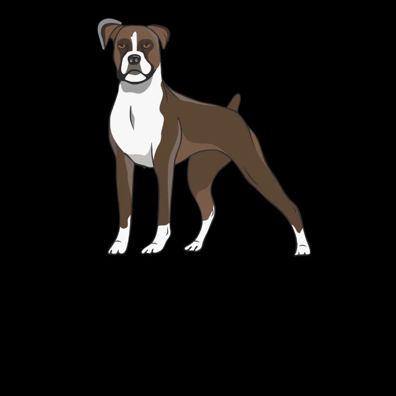 Boxer