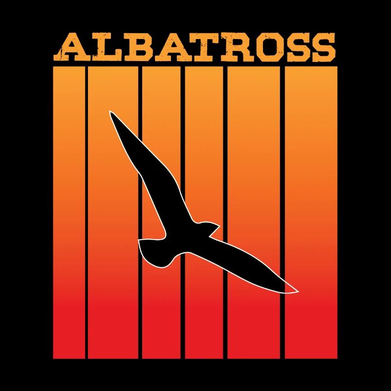 Jeu d'ombre d'albatros au coucher du soleil