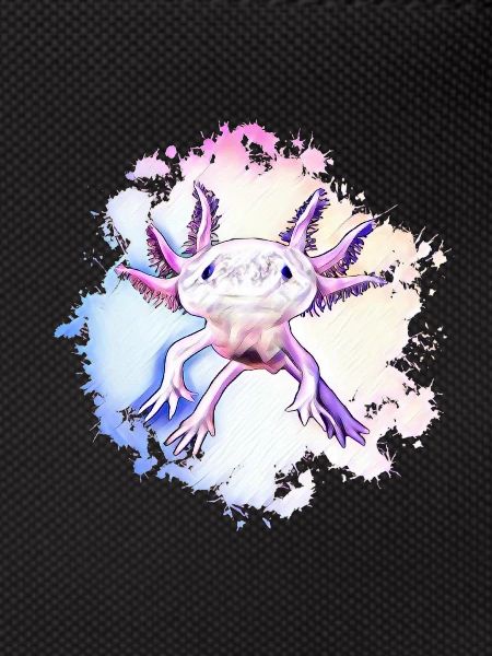 Axolotl