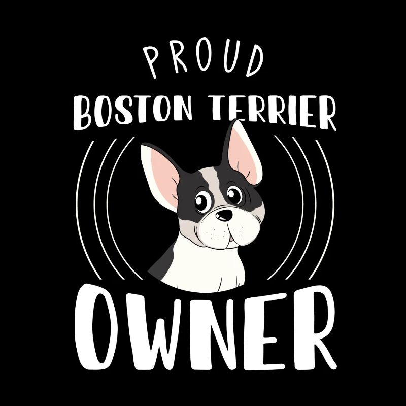 Terriers de Boston, Terriers de Boston, Terriers de Boston