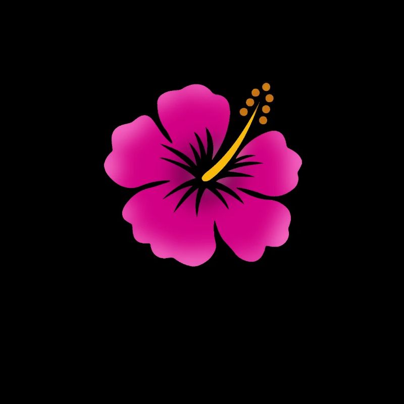 Fleur d’Hibiscus