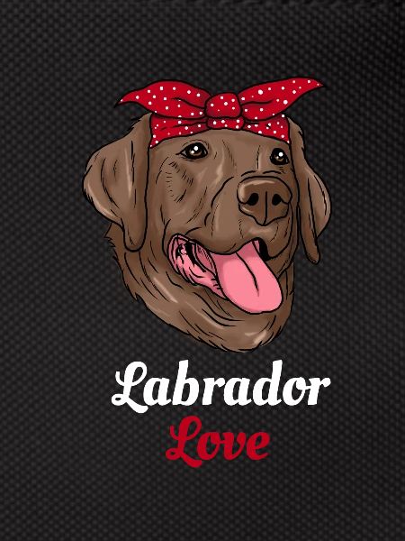 Labrador