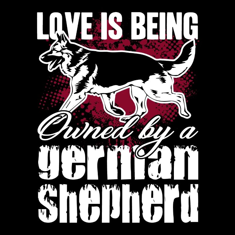German Shepherd Owned By German Shepherd