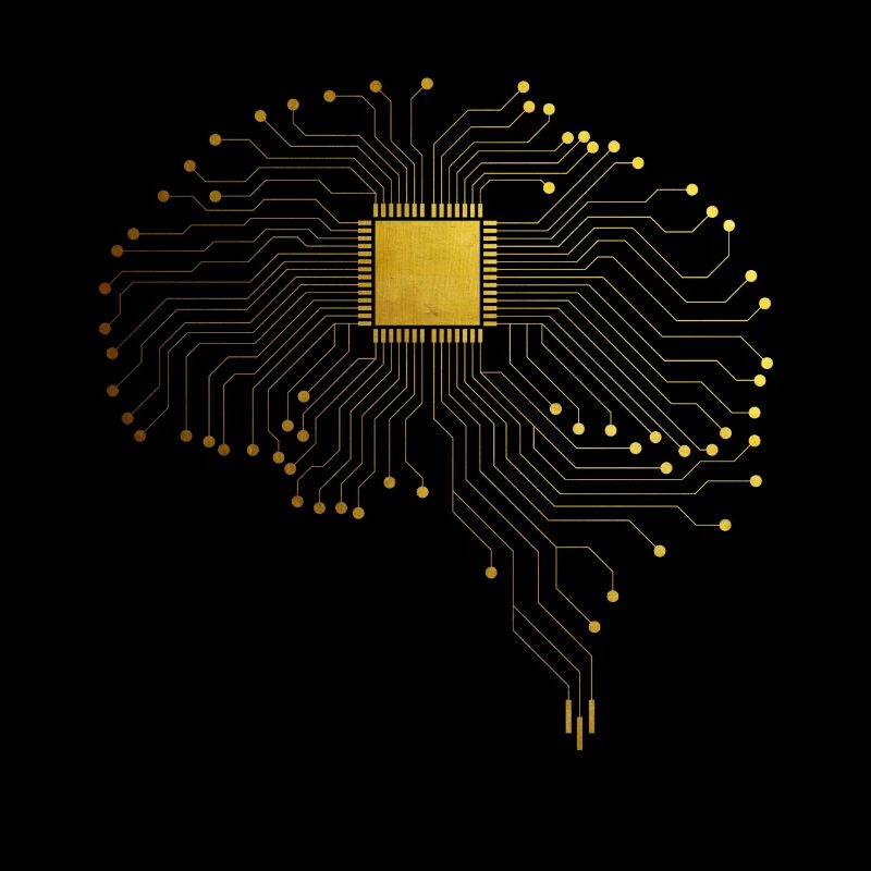 CPU brain computer nerd geek computer scientist