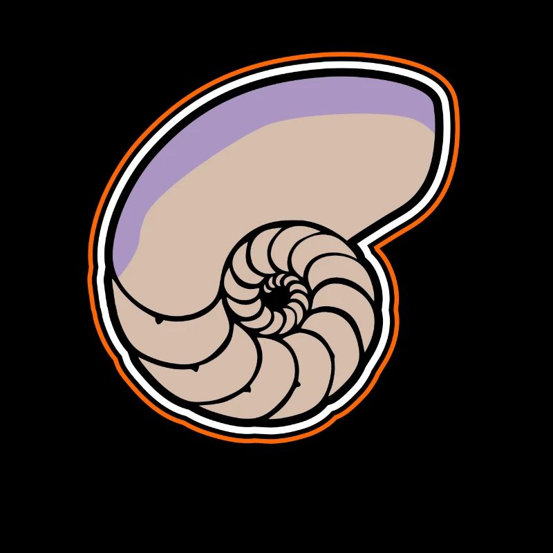 Fossils Fossil Geology