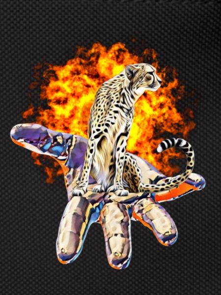 cheetah