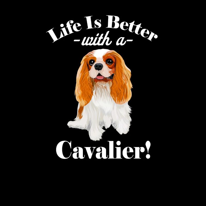 Cavalier King Charles Spaniel