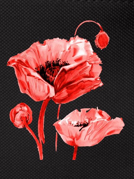 Coquelicot