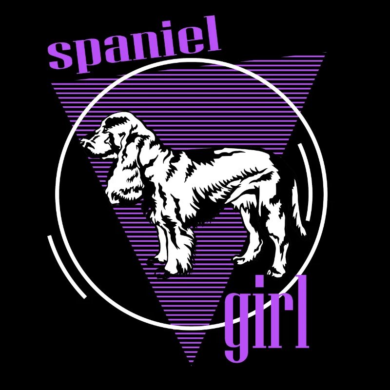 Épagneul, Springer Spaniel, Spaniel For Spaniel Gi