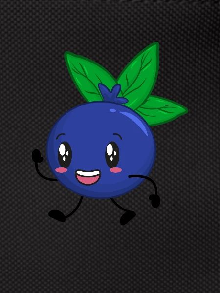 Myrtille myrtille