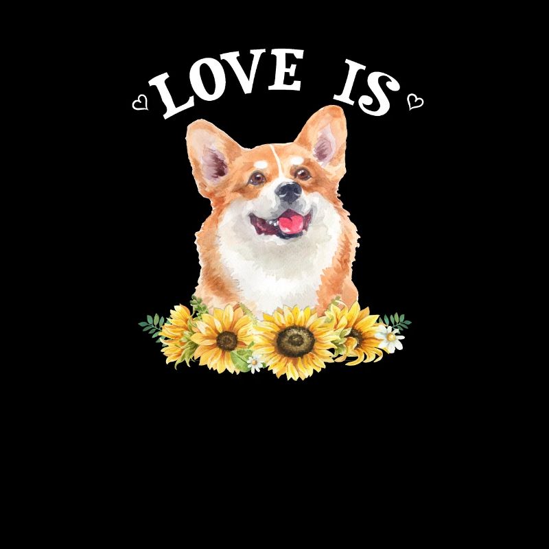Corgi