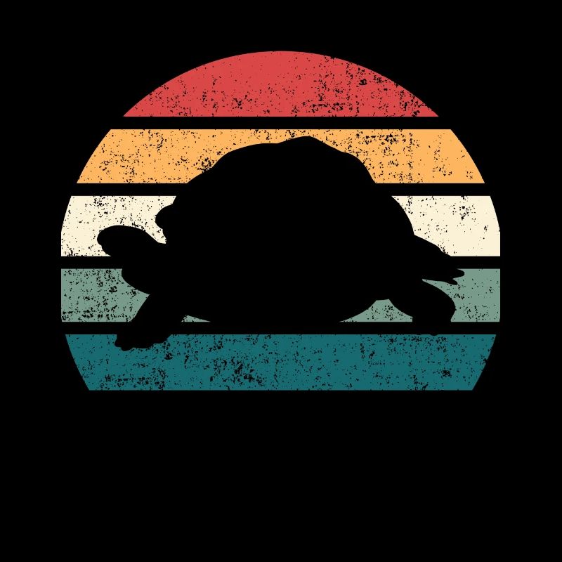 Turtle vintage retro