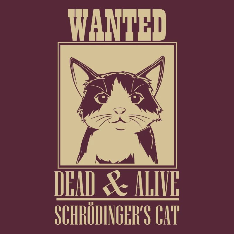 Schrödingers Katze Dead & Alive Student Physik