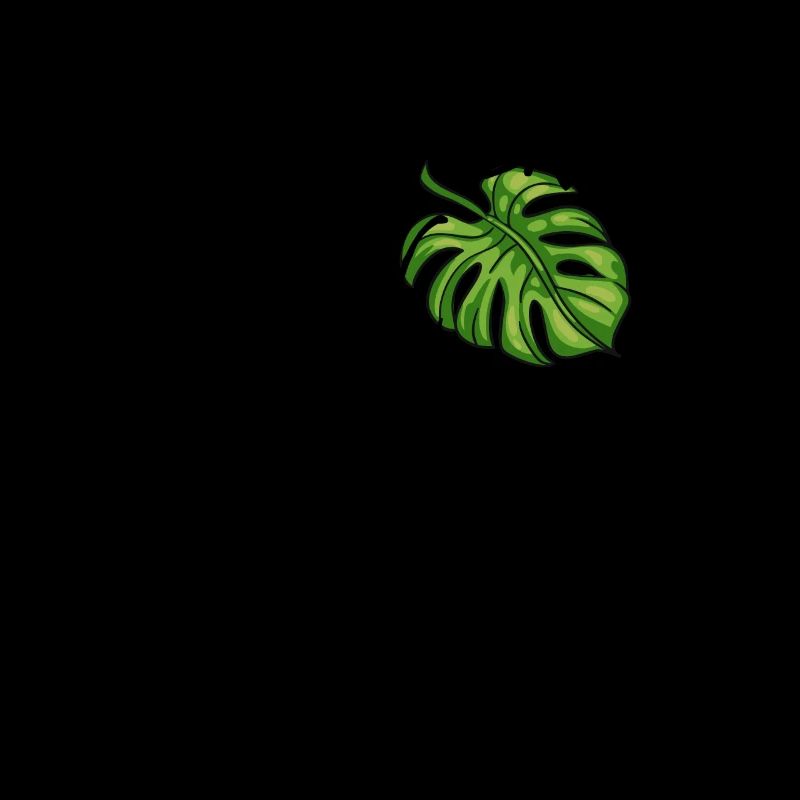 Monsteraholic | Window leaf Monstera plant