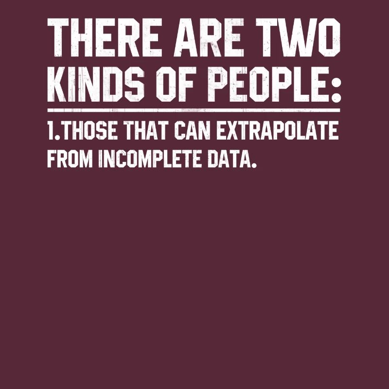 Software developer programmer