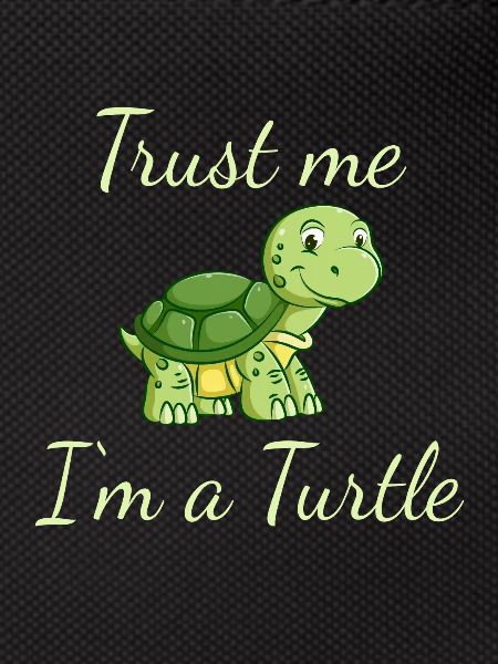 funny turtle