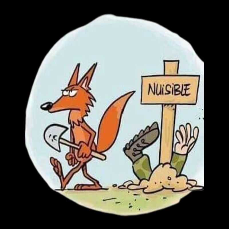 Nuisible