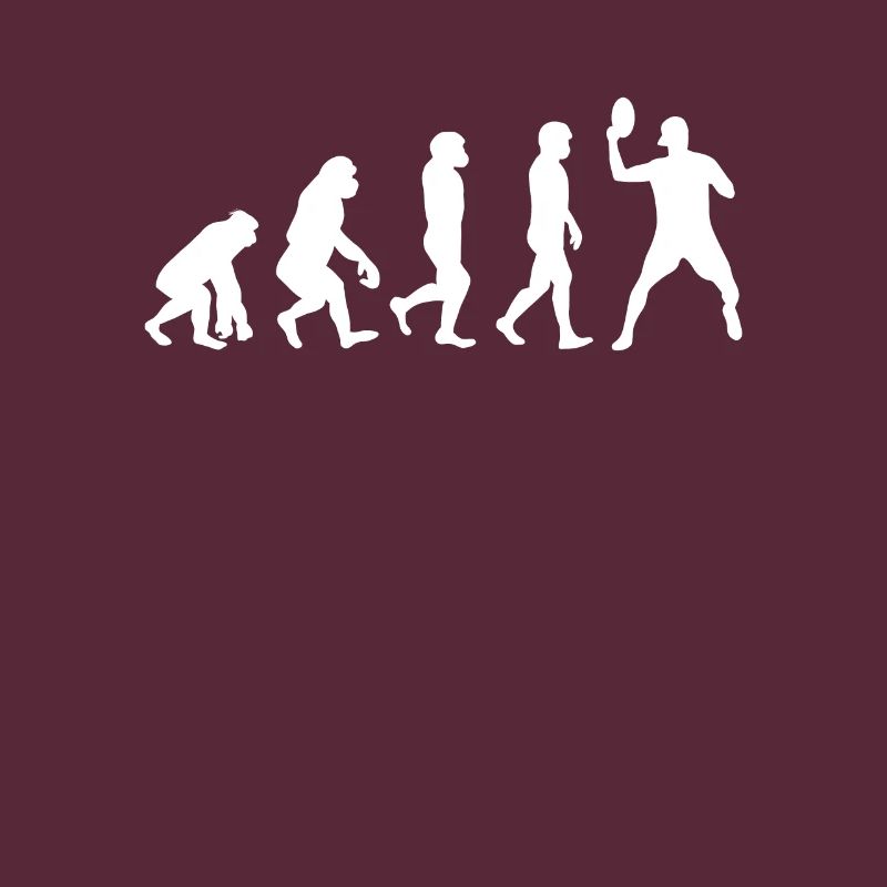 Discgolf Evolution