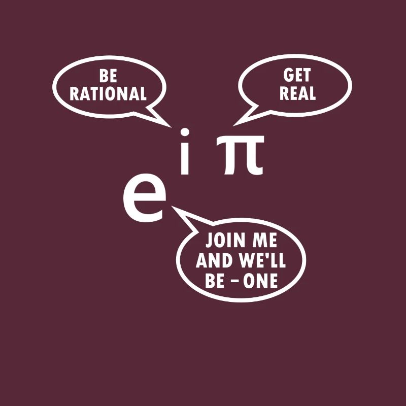 Mathematiker Geschenk Mathe Lehrer Nerd Euler Pi