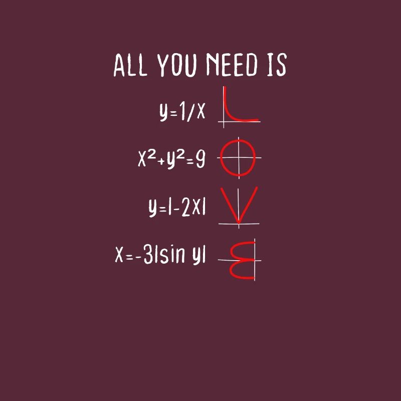 Physics Maths Love Joke Nerd IT Valentin