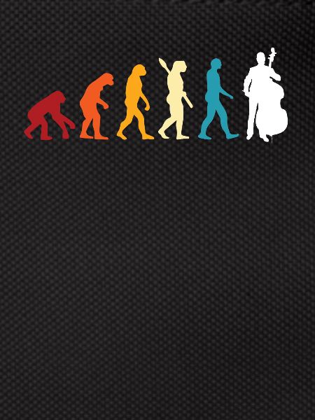 Double bass evolution
