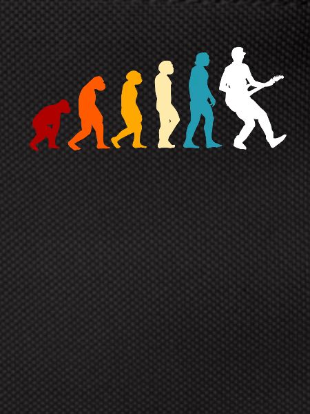 E-guitare Evolution