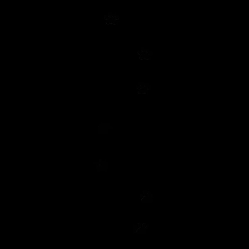 Pfoten