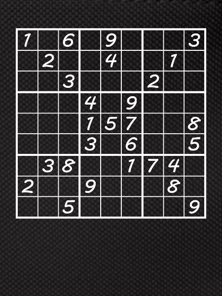 Sudoku Number Puzzle