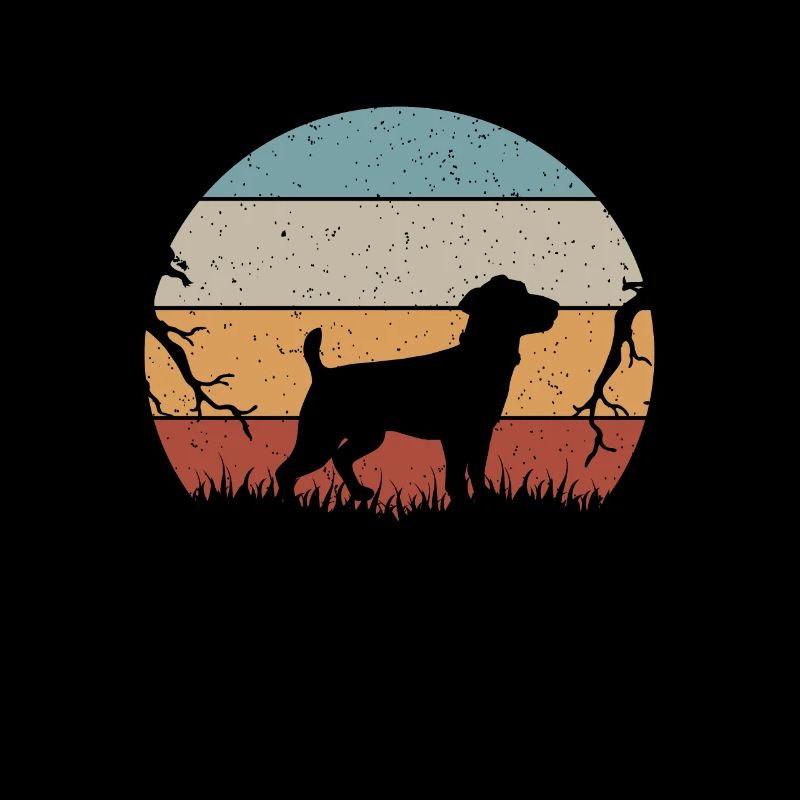 Jack Russel Terrier Hunde Hund Hundebesitzer