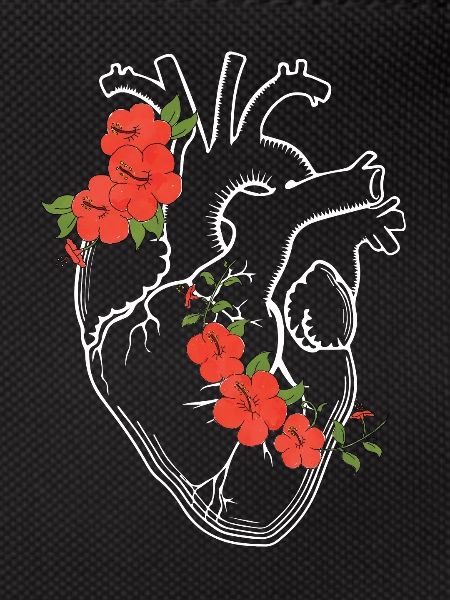 Anatomie coeur / Fleurs