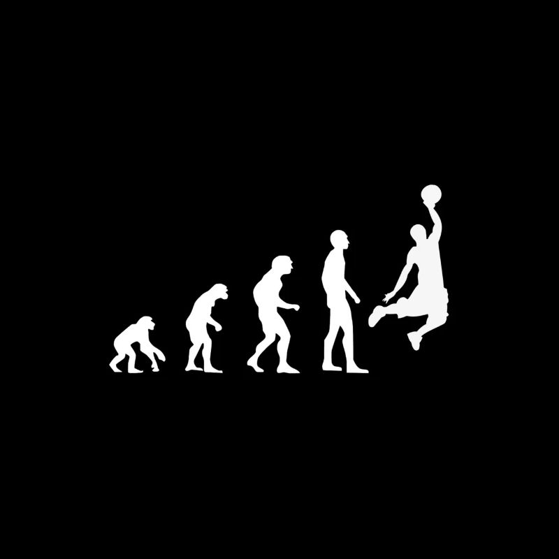 Evolution Basketball Sport Hobby