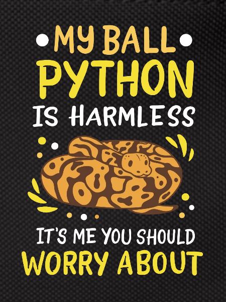 Ball Python