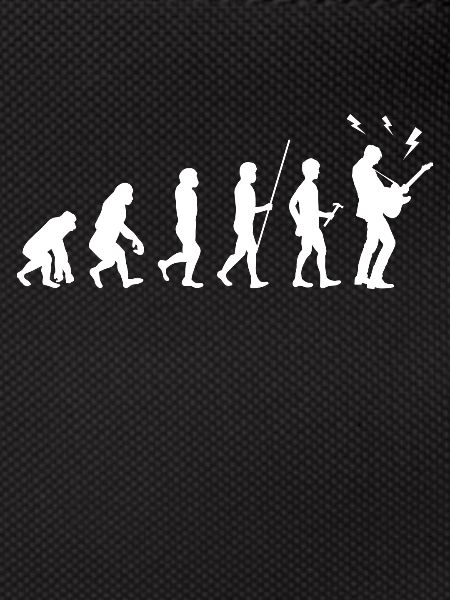 bassist