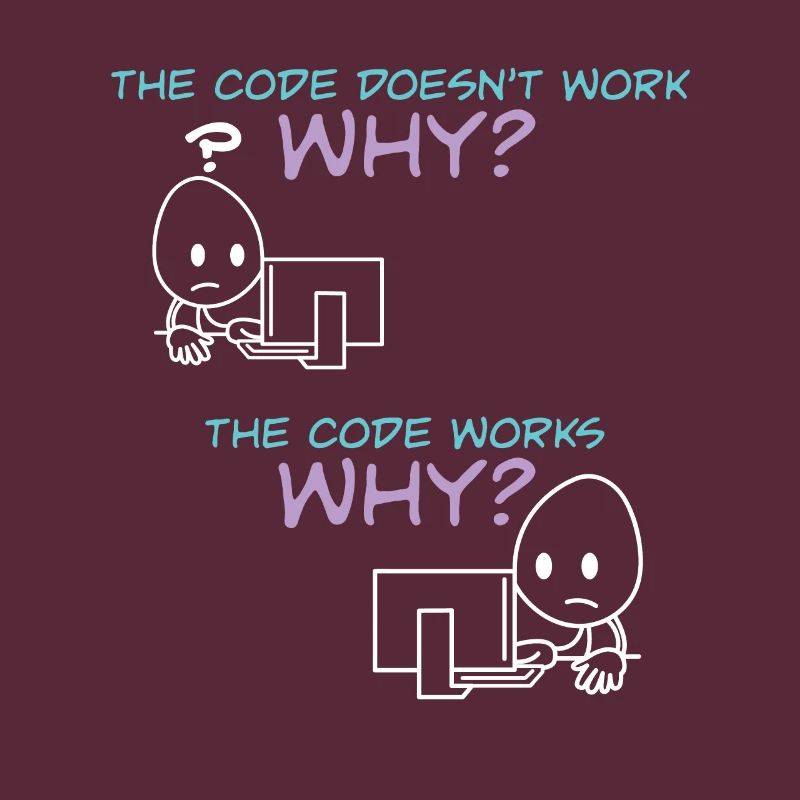 Programmer Code Works Why