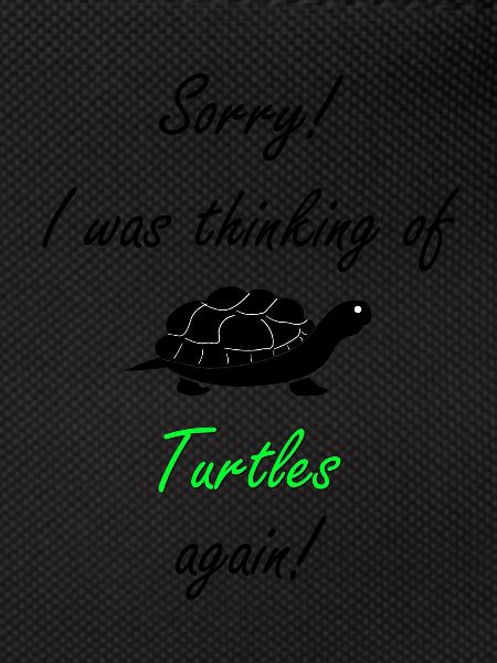 Turtle Turtle