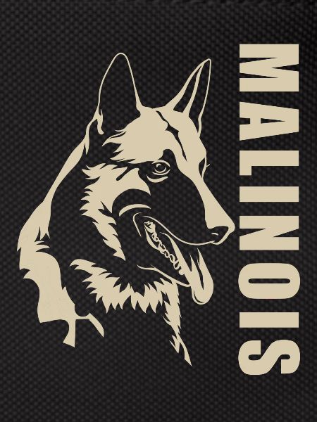 Malinois