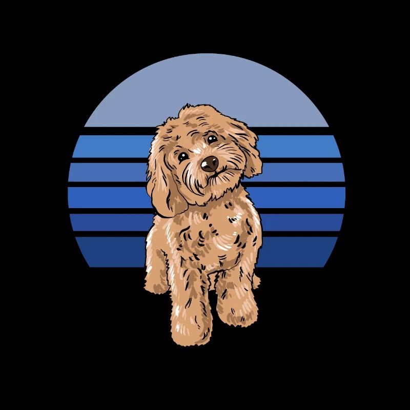 Cockapoo Blau Retro