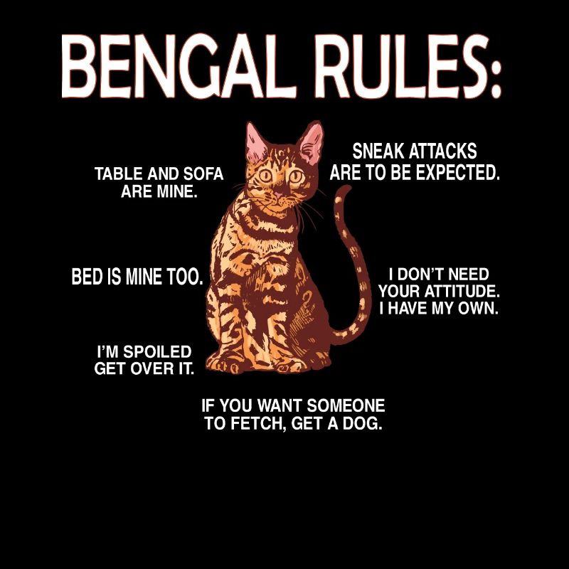 Bengale amants chat bengal propriétaire