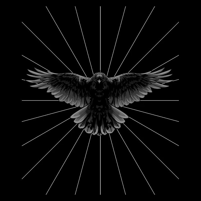 Rays Raven Crow Bird Bird Illustration Dark