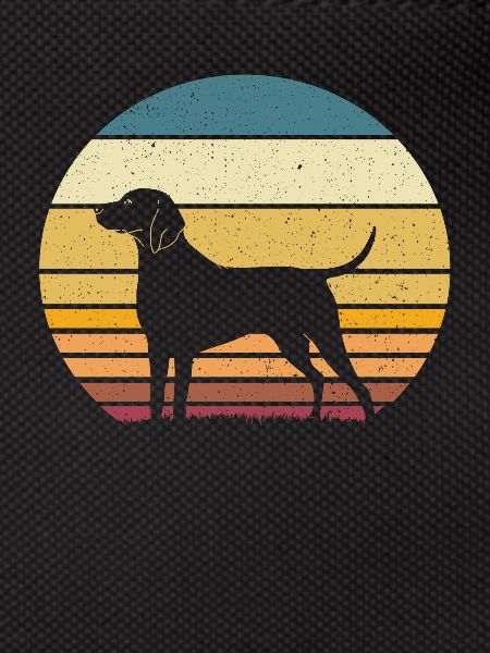 Weimaraner