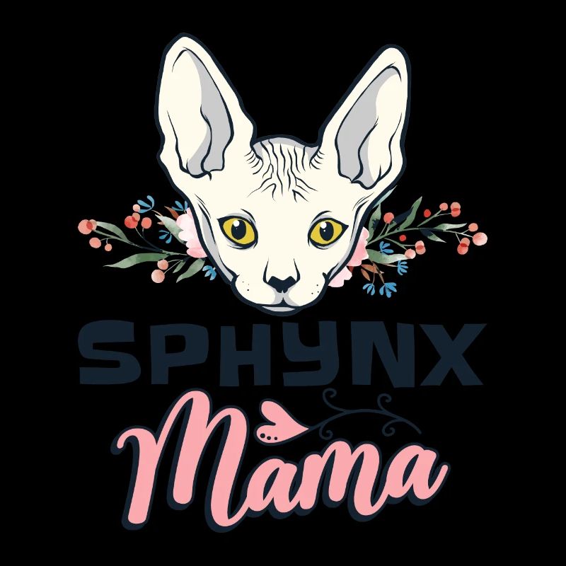Sphynx chat Sphynx chat