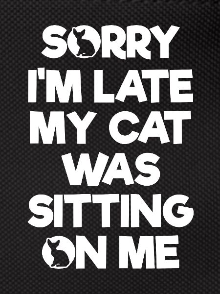 Chaton chat