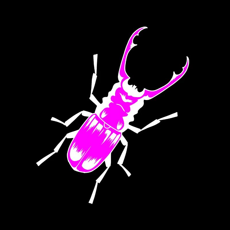 Stag beetle insect insects antlers forest animals child