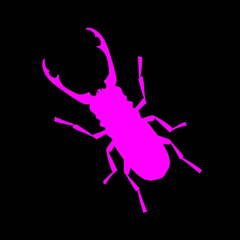 Insect, stag beetles, insects, wild animals, antlers